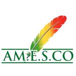 Logo AMESCO